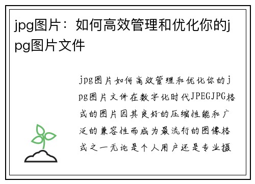 jpg图片：如何高效管理和优化你的jpg图片文件